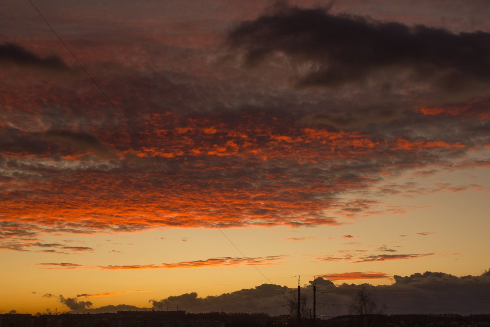 Photograph by Kirill Koshed