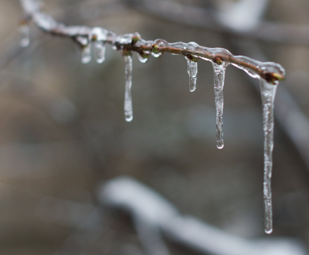 Photograph by Снежана Жвирбля