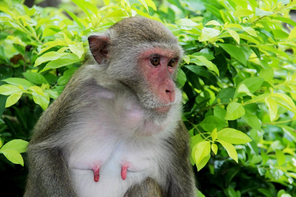 Photograph by Павел Легких