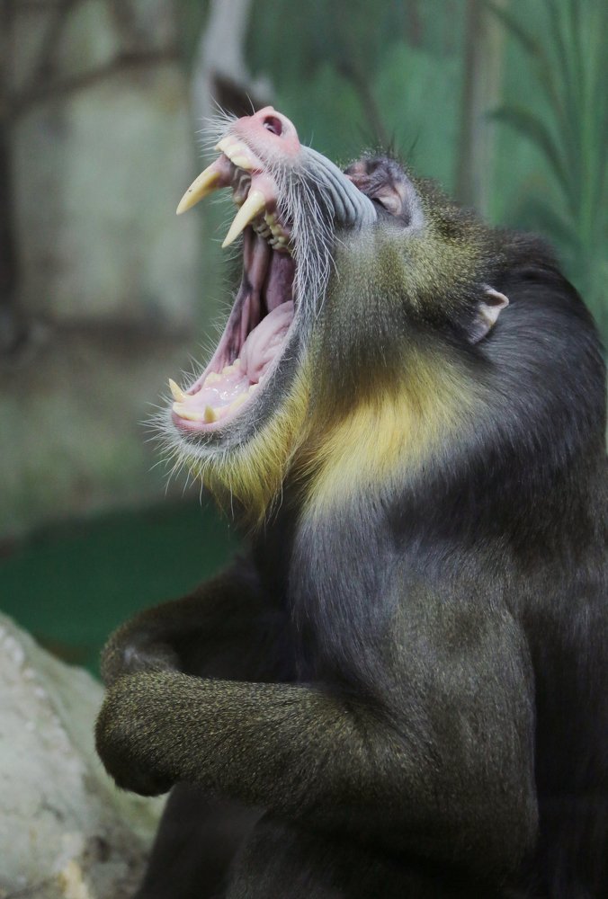 Photograph by Павел Легких