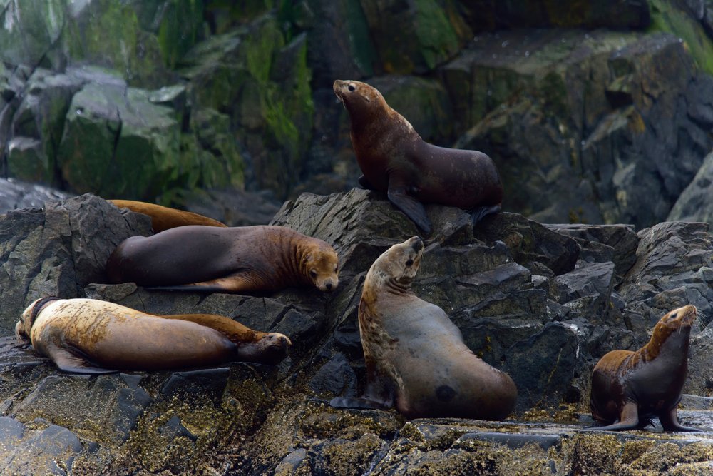 Photograph by Karasev Pavel