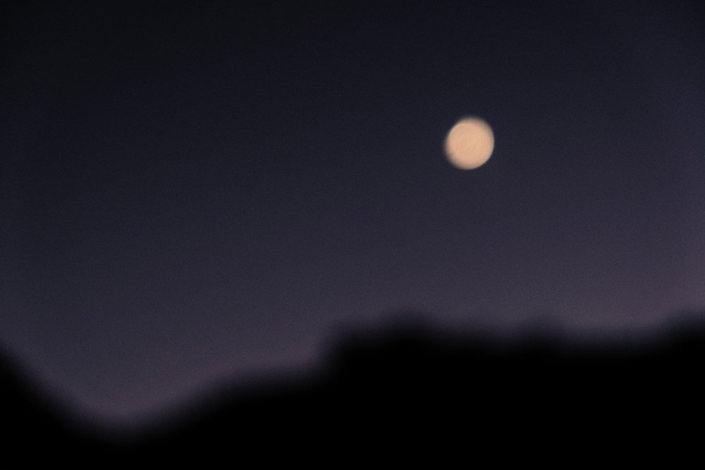 Photograph by Marian Hummel