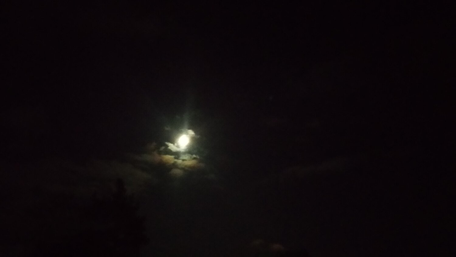 Photo #4002650