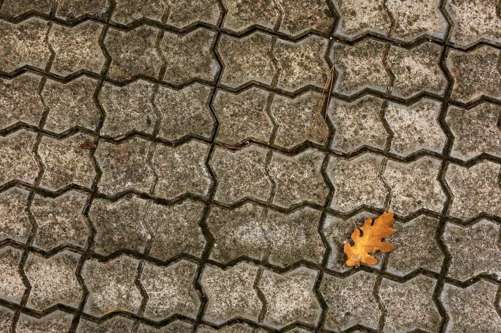 Последний лист