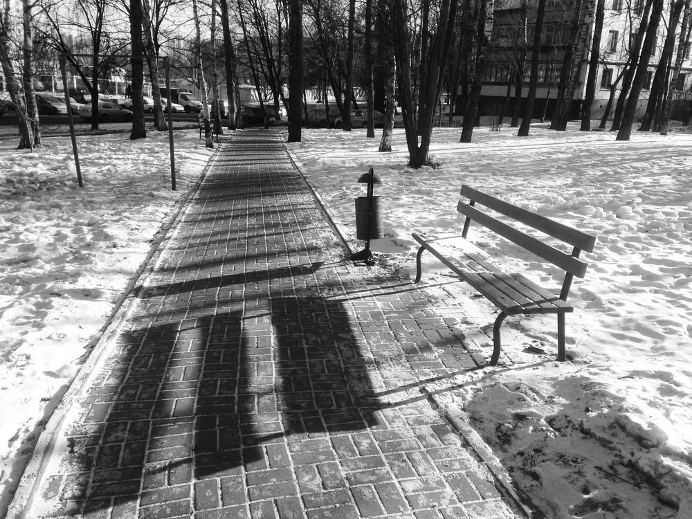 Photograph by Максим Захаров