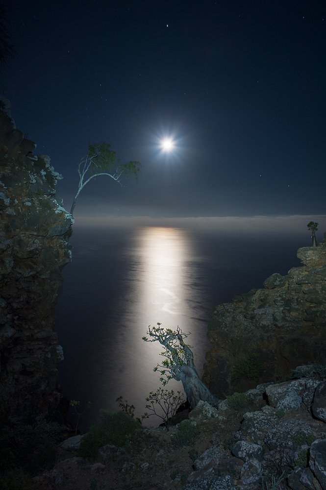 Photograph by Антон Насыров