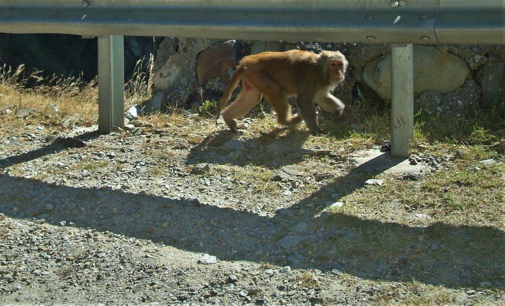 Photograph by Андрей Телибаев