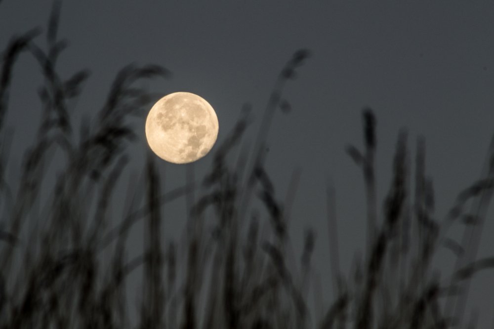 Photograph by Dmytro Tur