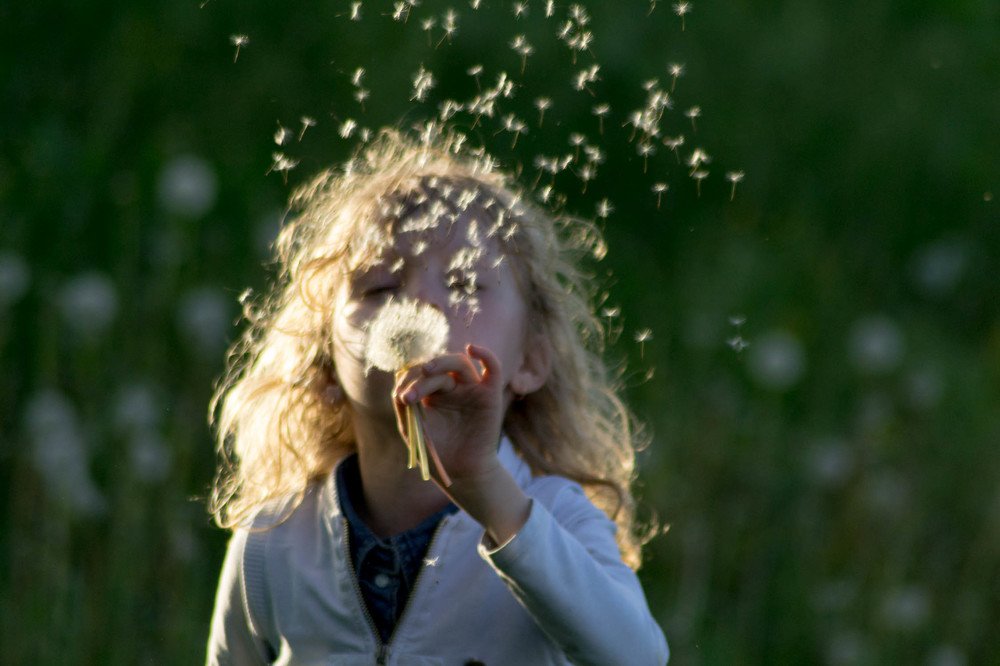 Photograph by Dmytro Tur