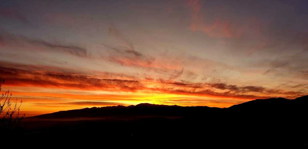 Photograph by Dumitru Oprisiu