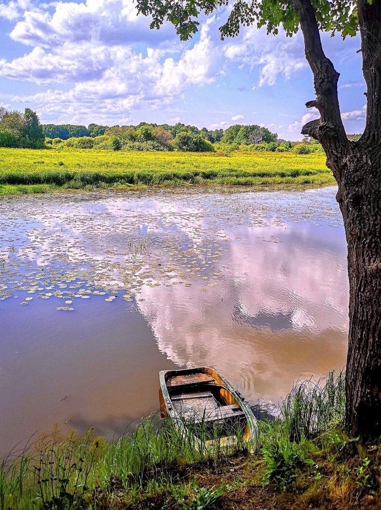 Воспоминания о лете: река Клязьма...