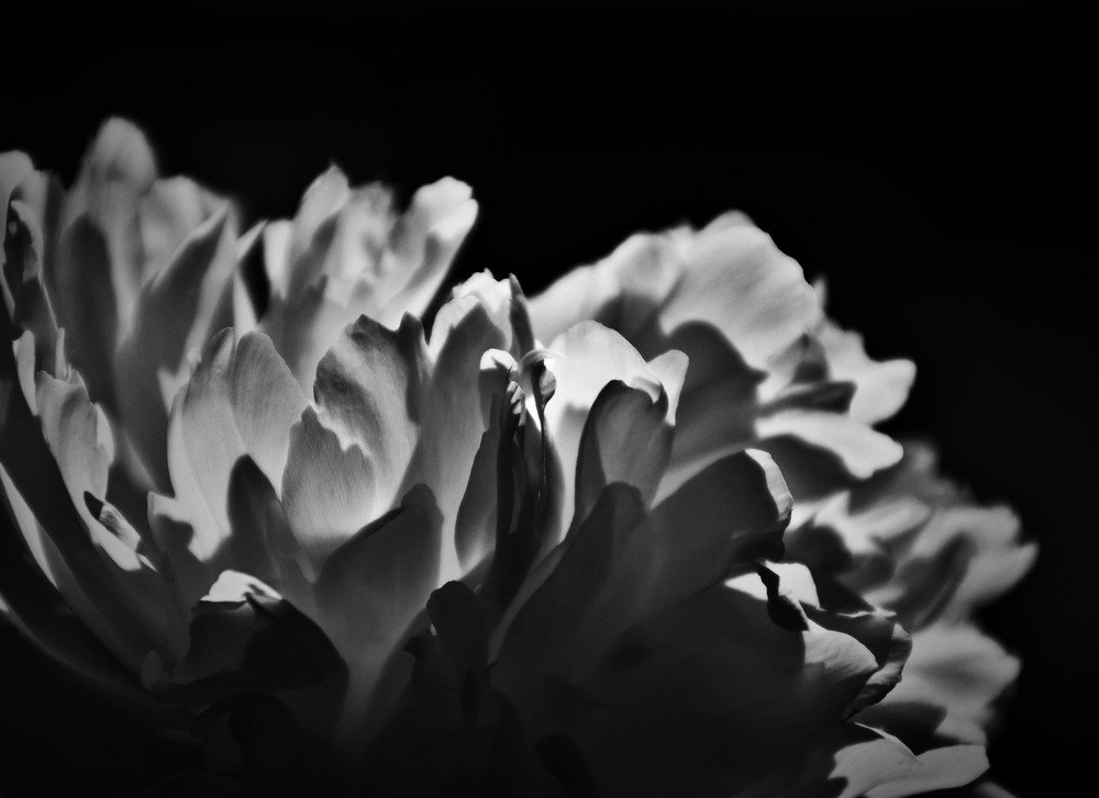 Photograph by Ija Reiman