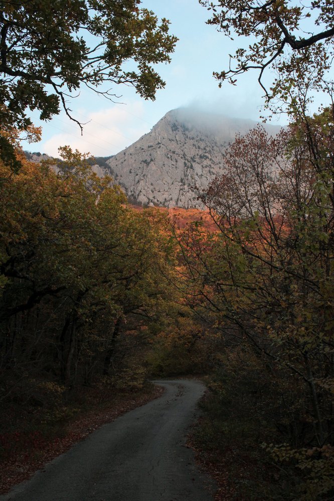 Photograph by Артем Карлов