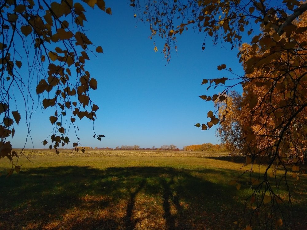 Photograph by Людмила Фризен
