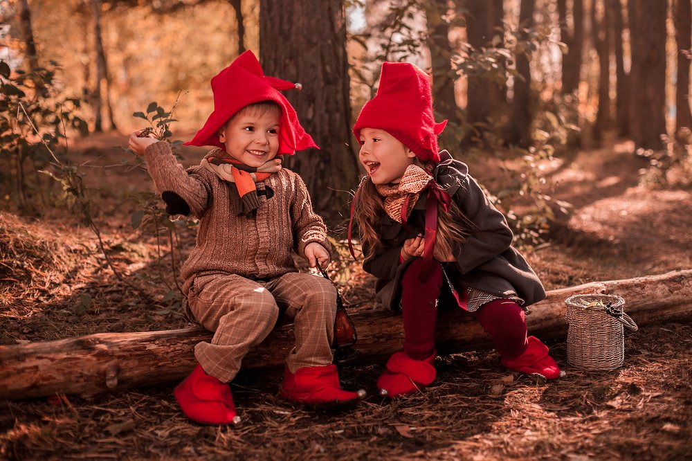 Гномики в сказочном лесу