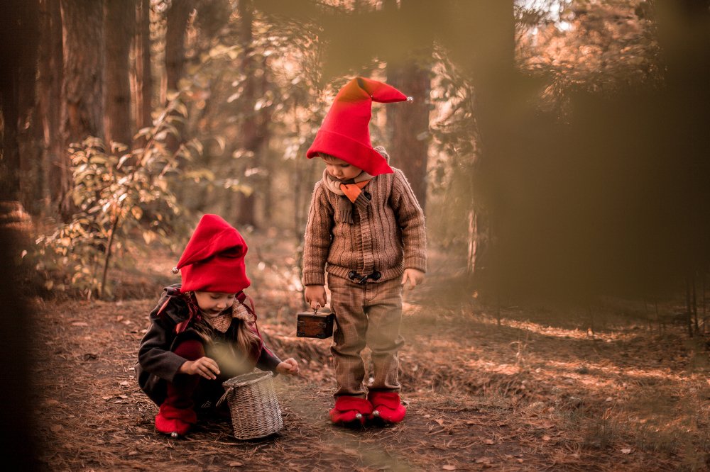 Гномики в сказочном лесу