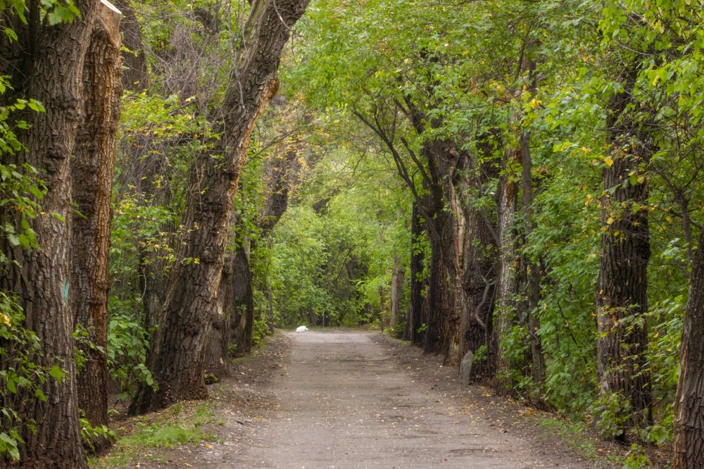 Photograph by Максим Грищенко