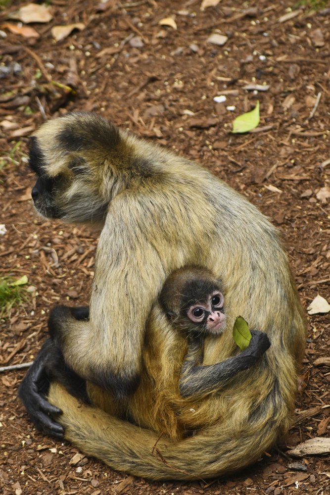 Photograph by Kelly Vivian