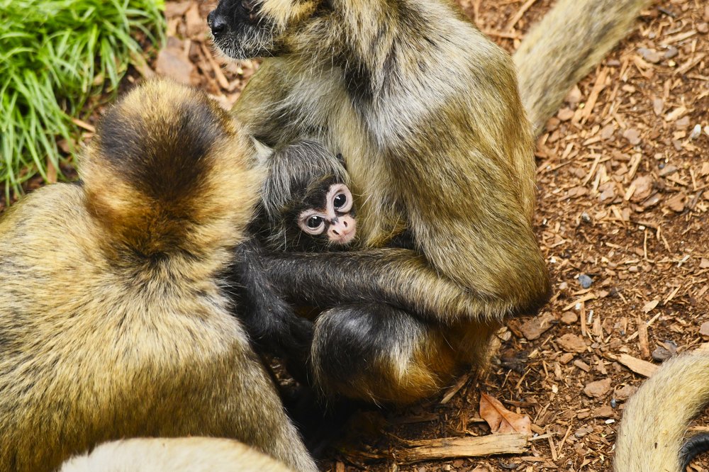 Photograph by Kelly Vivian