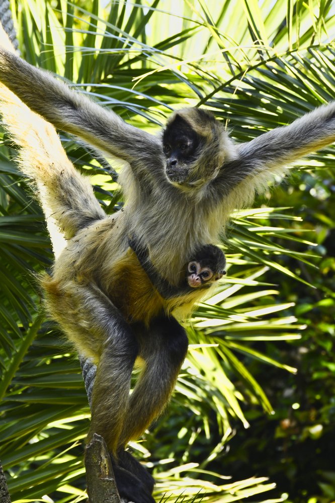 Photograph by Kelly Vivian