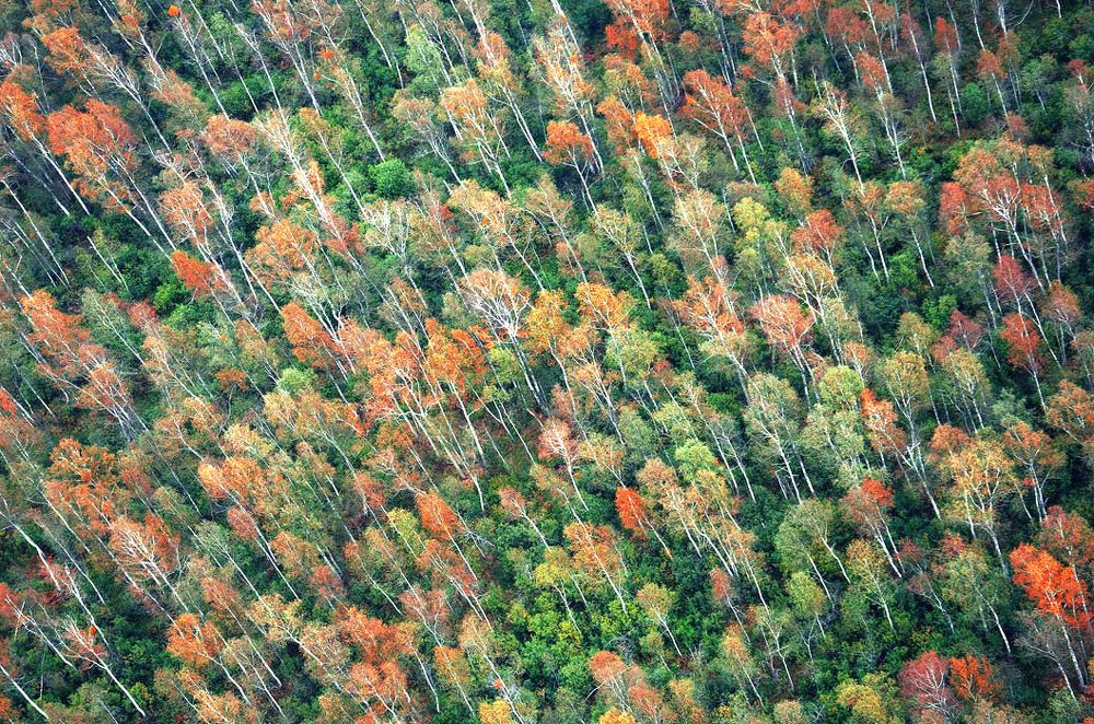 Photograph by Людмила Сиденко