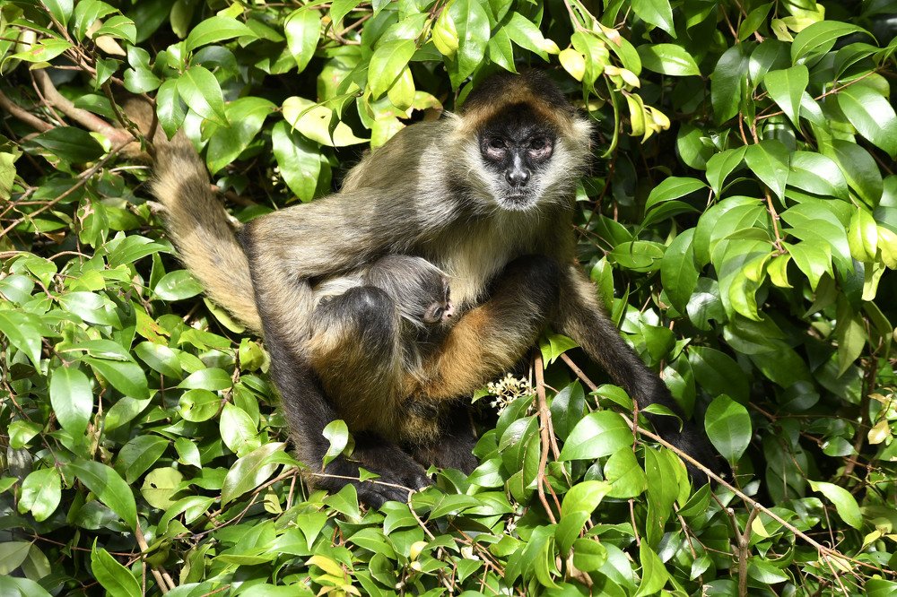 Photograph by Kelly Vivian