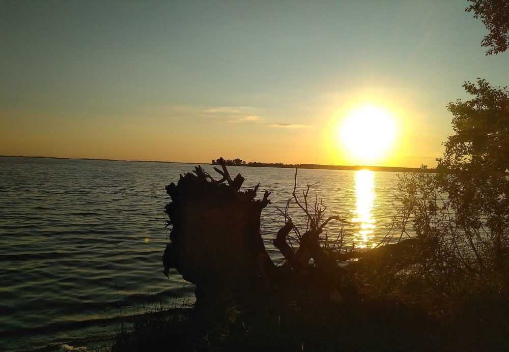 Photograph by Людмила Фризен