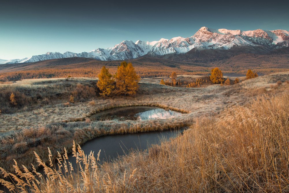 Фотография автора Алексей Новиков