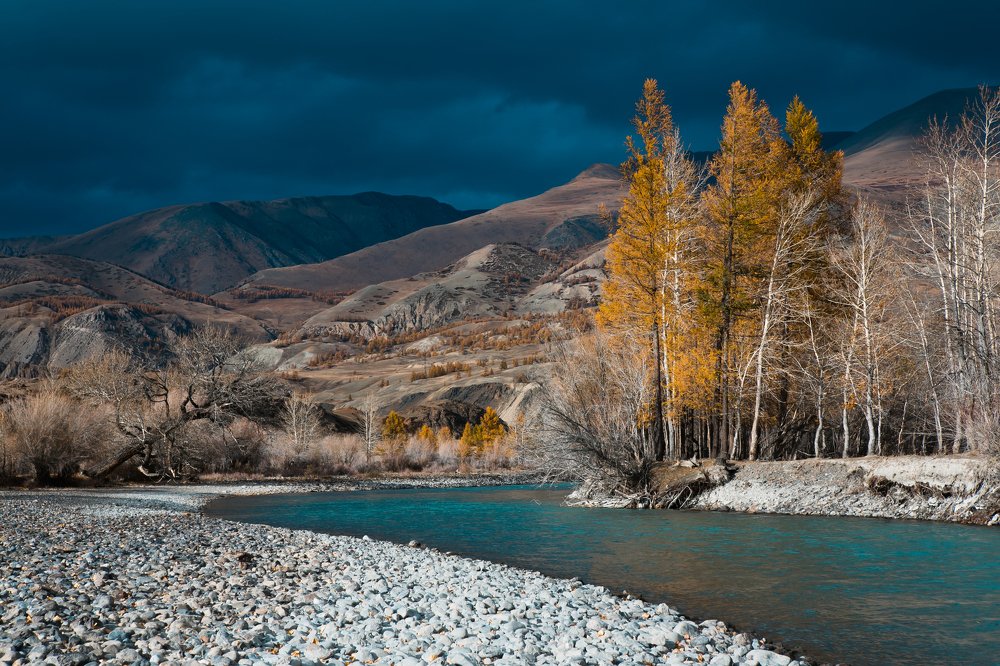 Фотография автора Алексей Новиков