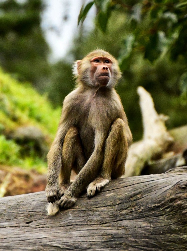 Photograph by Kelly Vivian