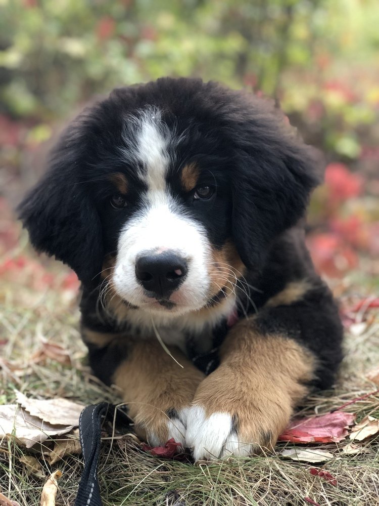 Photograph by Анастасия Лясович