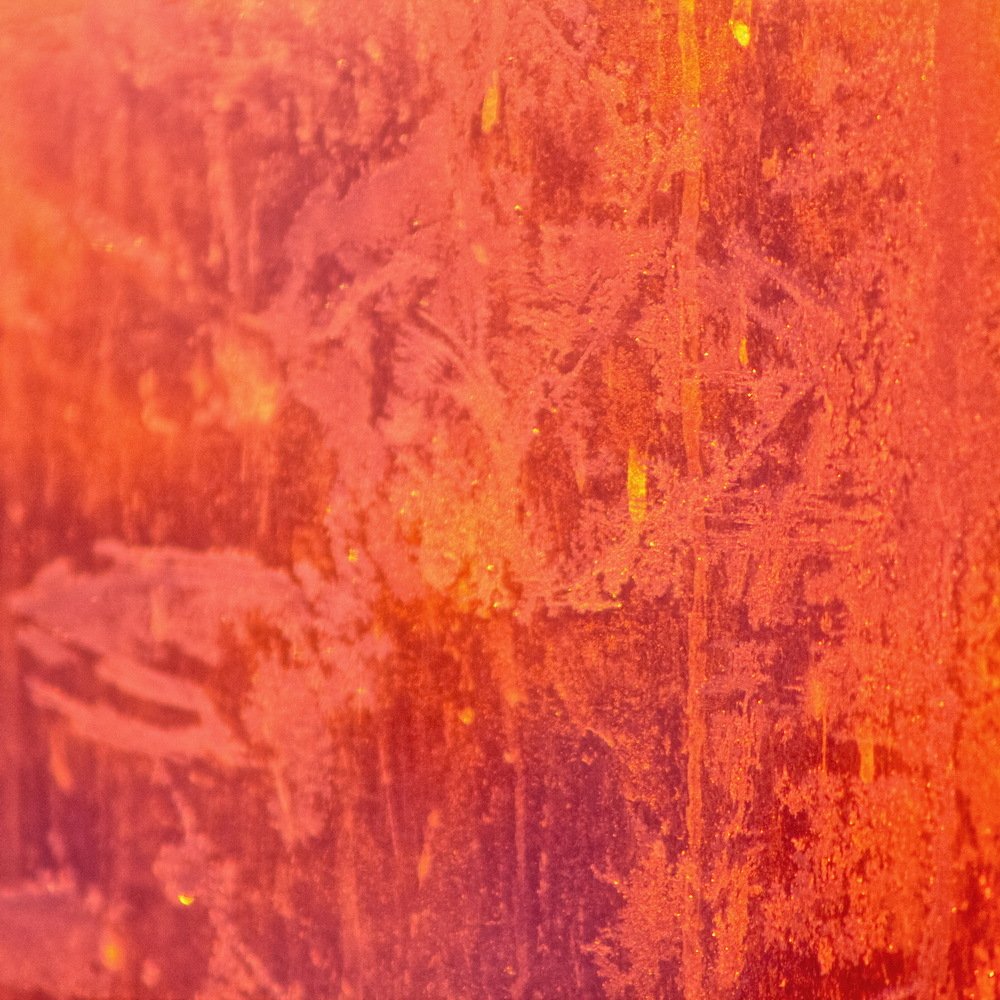 Photograph by Юлия Долгина