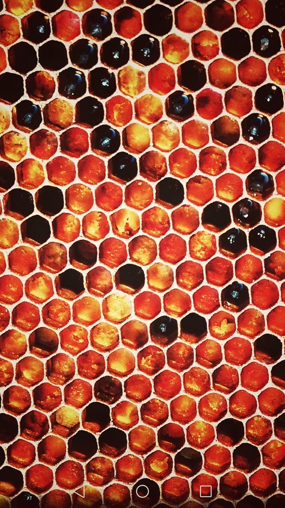 Photograph by Ramazan Yıldırım