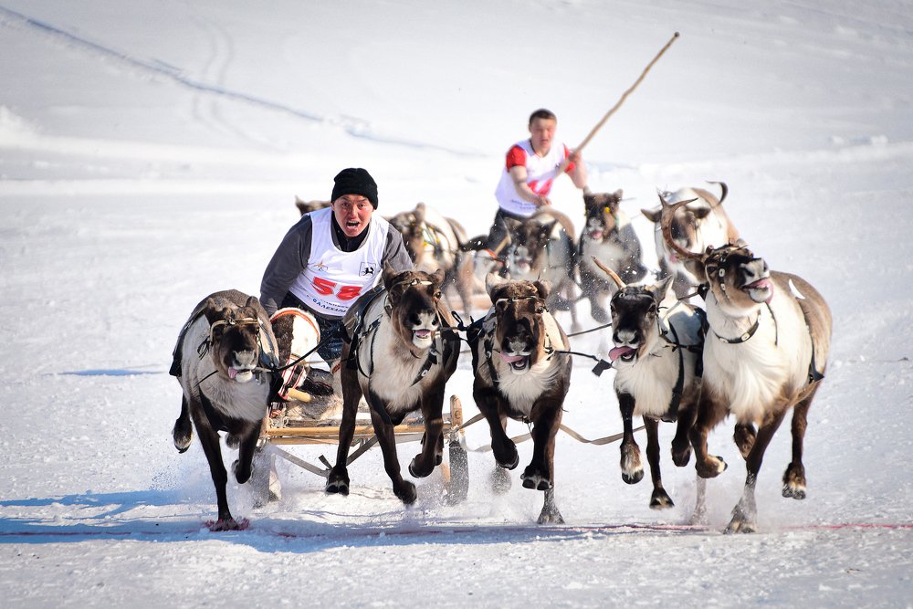 Photograph by Александр Шипов