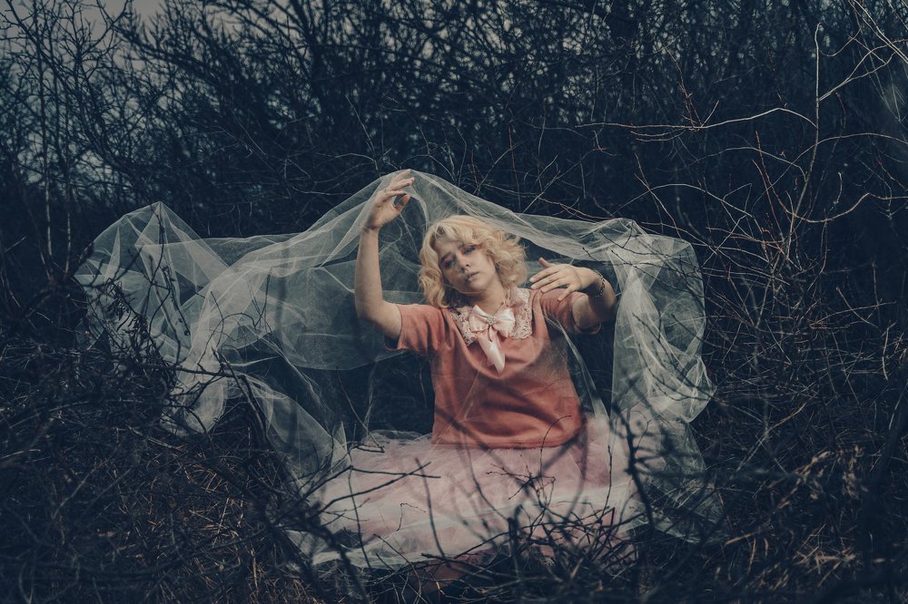 The American Feminist Dream