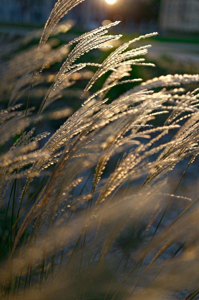 Photograph by  Nika & Ramin