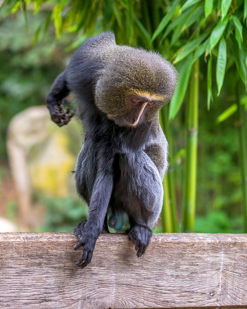 Photograph by Iryna Kenning