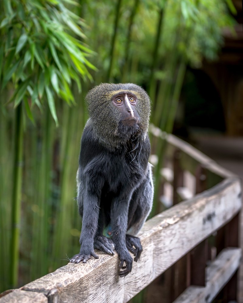 Photograph by Iryna Kenning