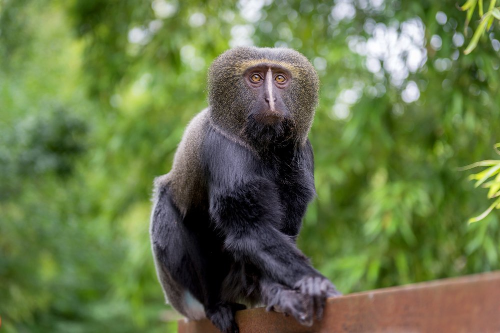 Photograph by Iryna Kenning