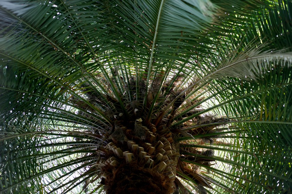 Фотография автора Елена Ельшина