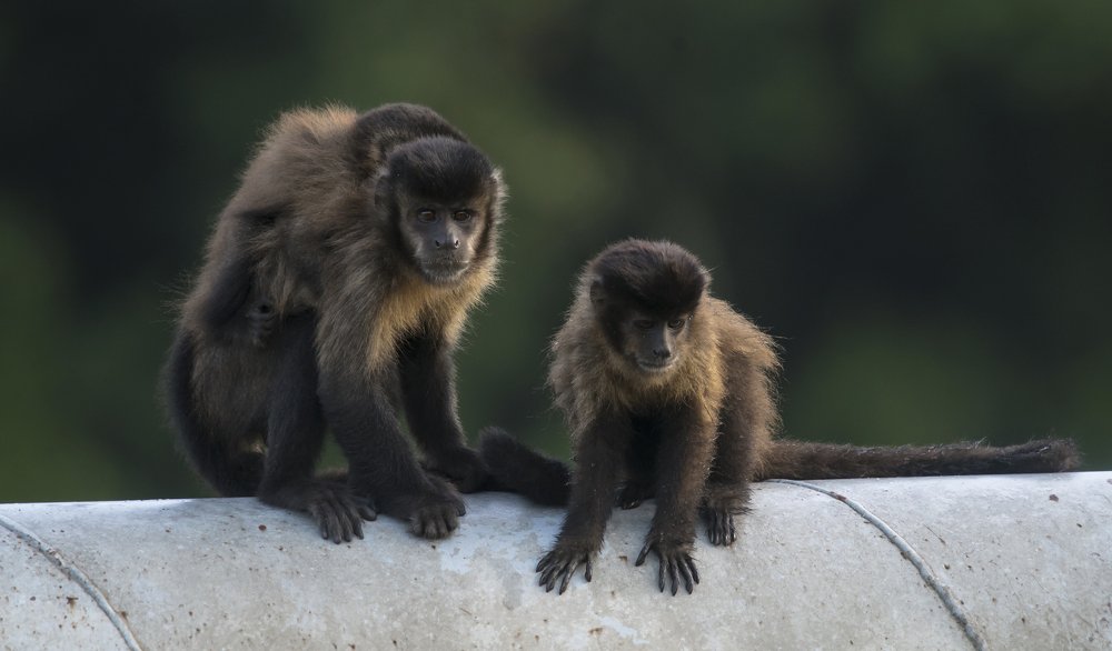 Photograph by Paulo Guerra