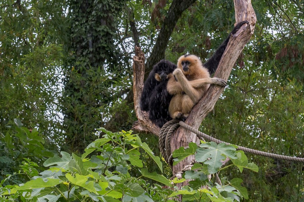 Photograph by Iryna Kenning