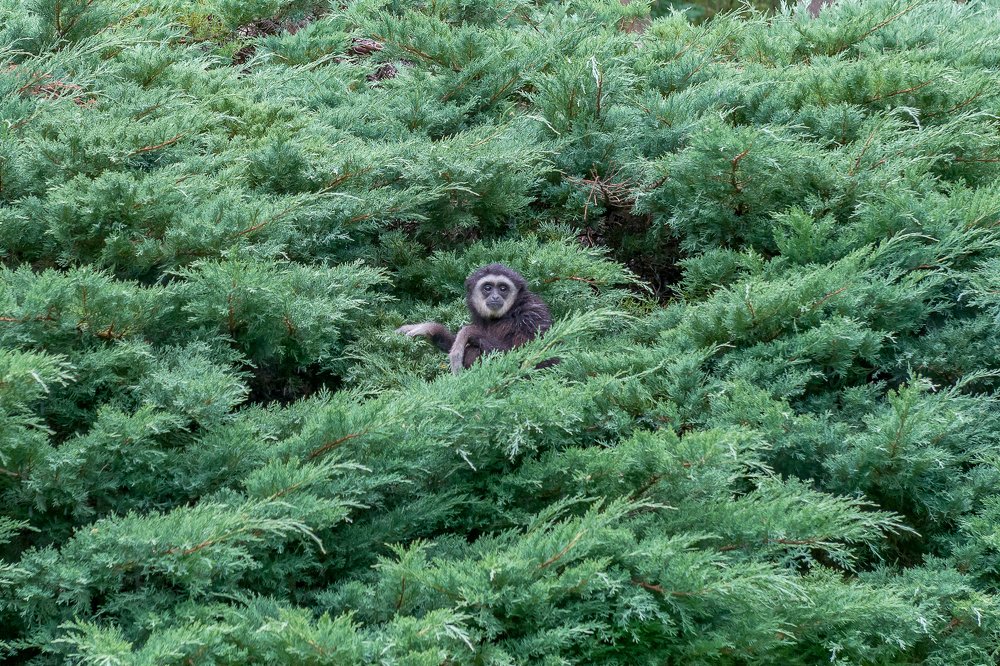 Photograph by Iryna Kenning