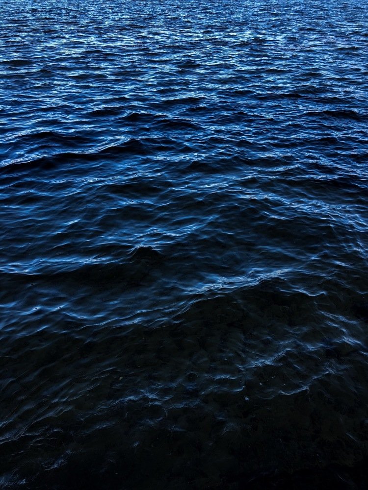 Photograph by Арина Колесник