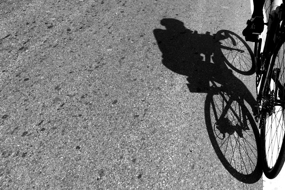 Фотография автора Udayan Sankar Pal