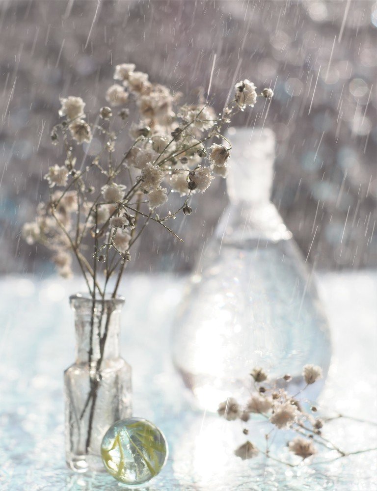 Photograph by Ольга Линк