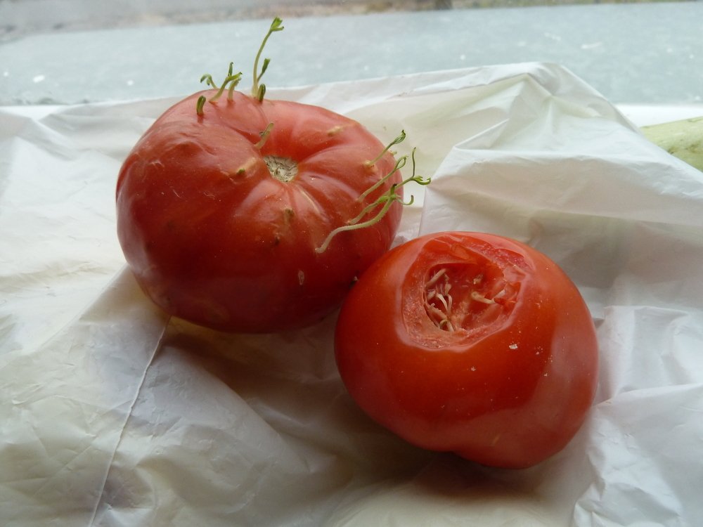 Фотография автора Клавдия Васильева