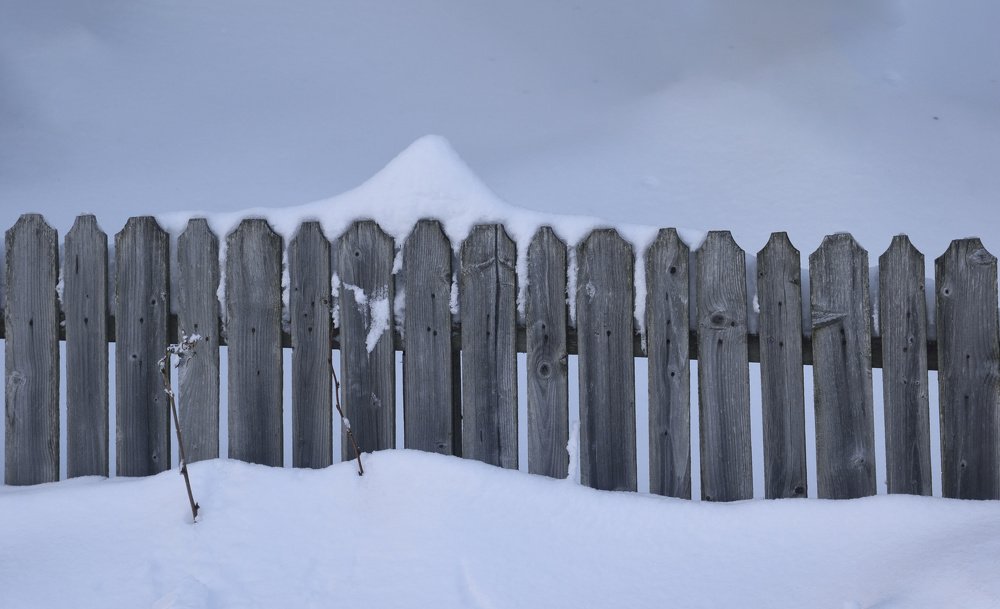 Snow garden