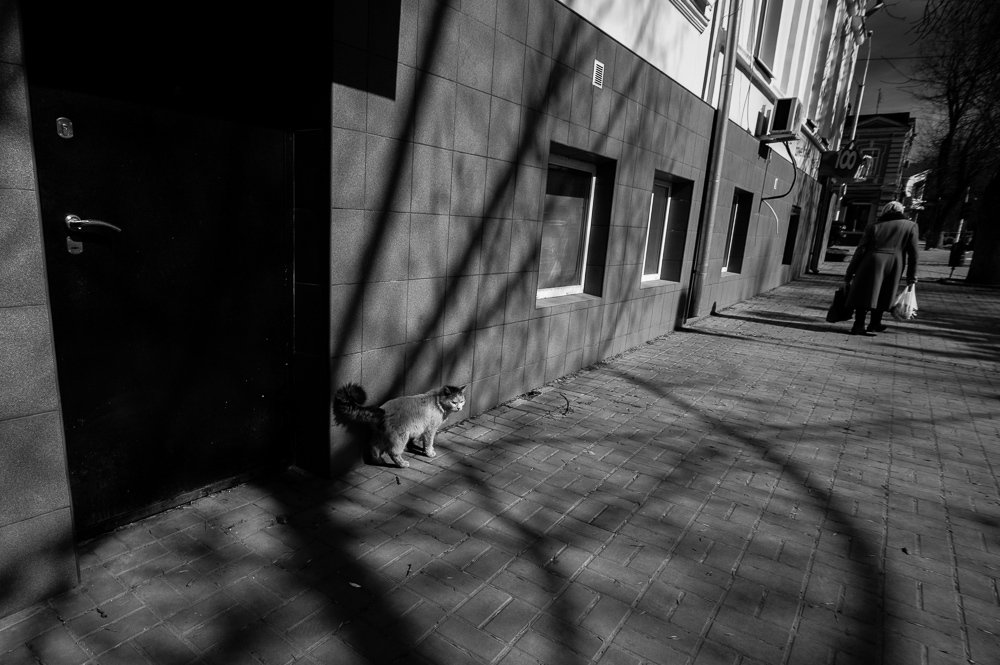 Photograph by Киясов Антон