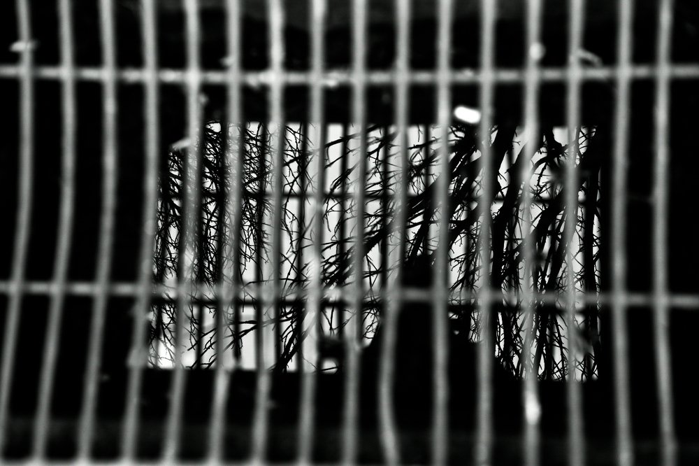 Photograph by Ярослав Гордиенко